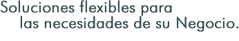 Soluciones flexibles